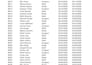 clean, format and organize excel data professionally